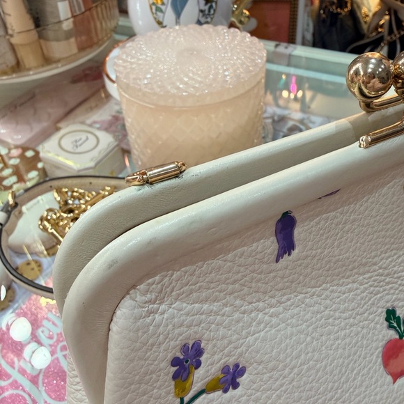 Coach Nora Kisslock Garden Print Crossbody - Picture 11 of 15